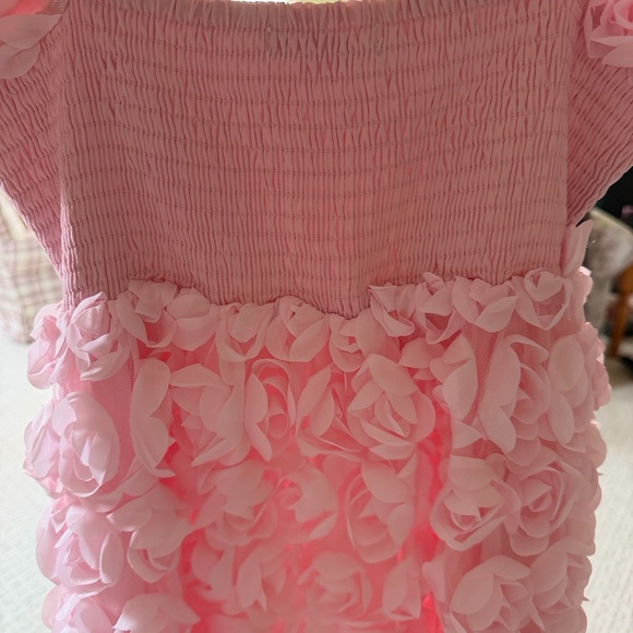 Altar'd State Pink Rose Mini Dress - Picture 4 of 4